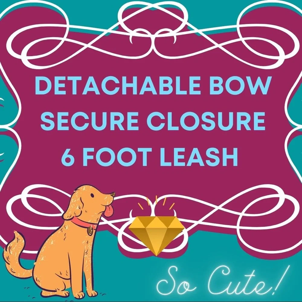 #14 Dog Leash and Detachable Bow Set in Sparkles🐾